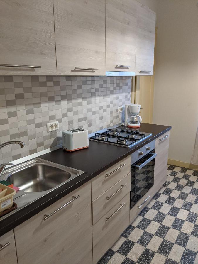 Cristian Apartment Near Old Town Timişoara Buitenkant foto