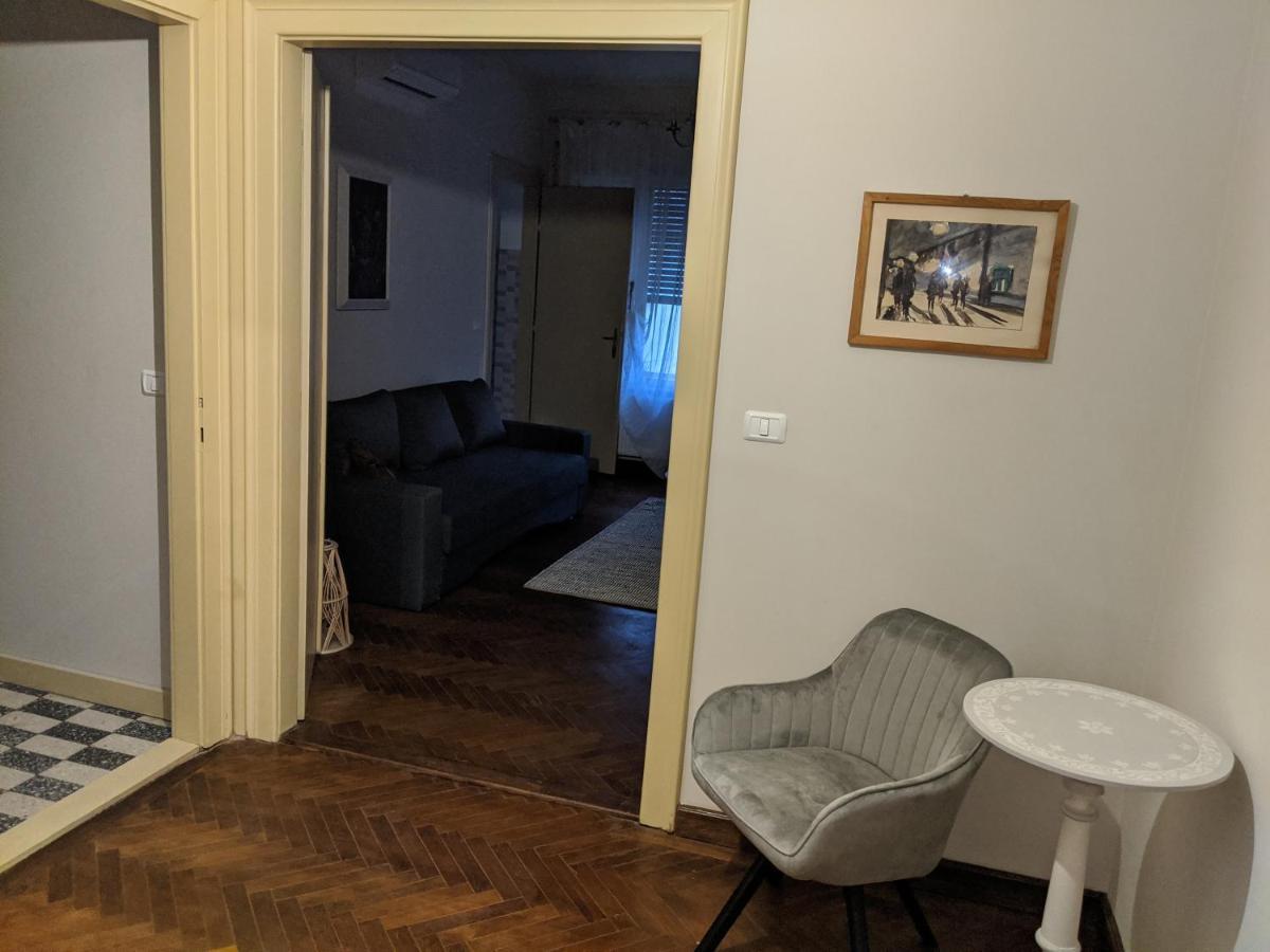 Cristian Apartment Near Old Town Timişoara Buitenkant foto