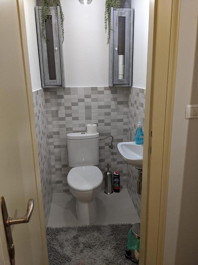 Cristian Apartment Near Old Town Timişoara Buitenkant foto