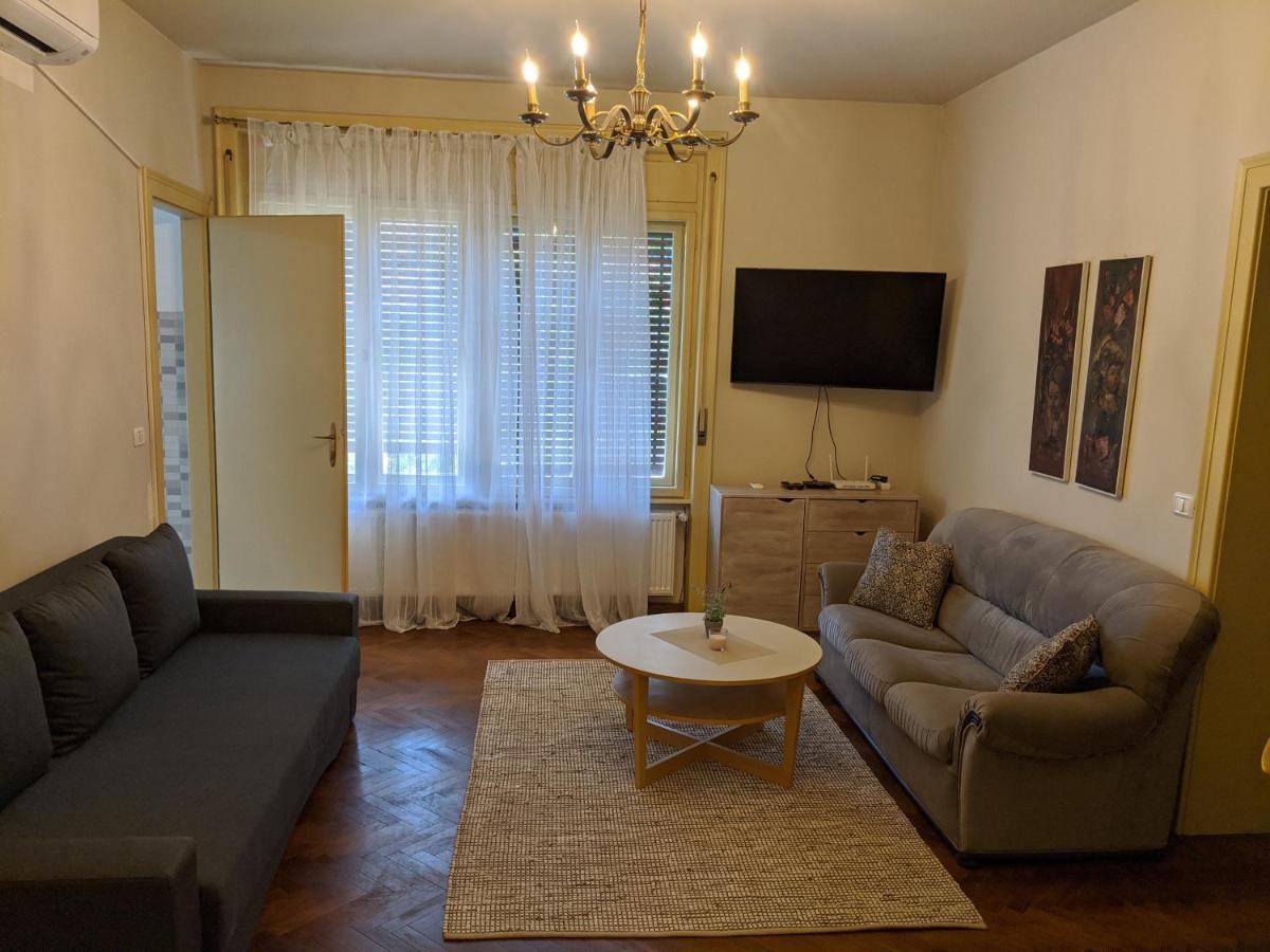 Cristian Apartment Near Old Town Timişoara Buitenkant foto